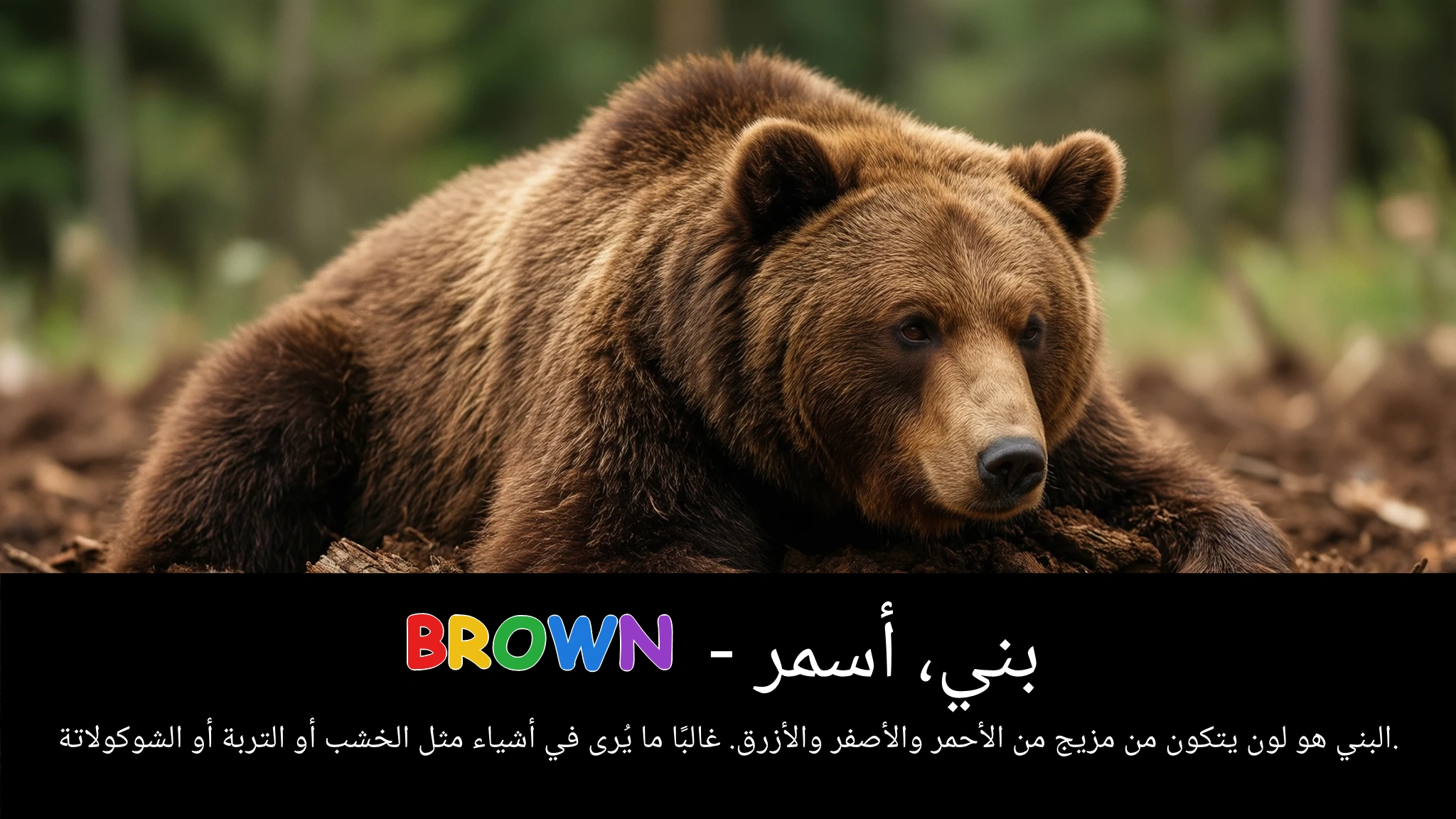 Arabic Illustration for brown